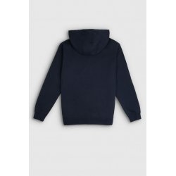 Sweat capuche Teddy Smith homme